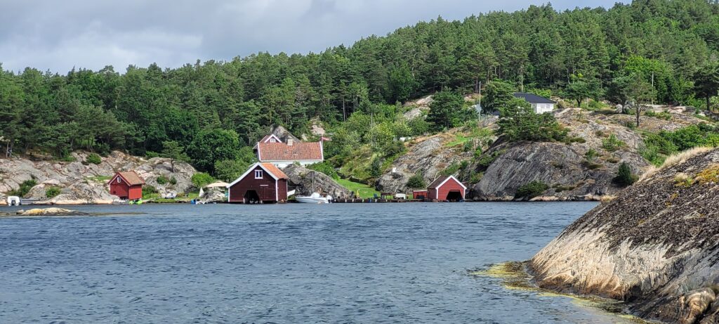 selvagen