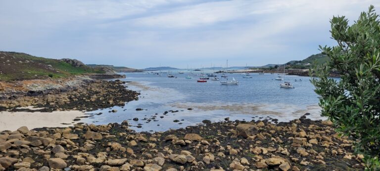 new grimsby